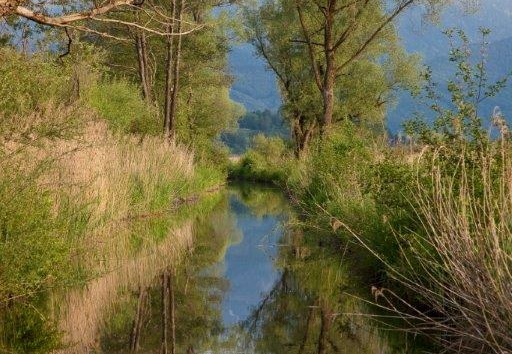 Moosgraben