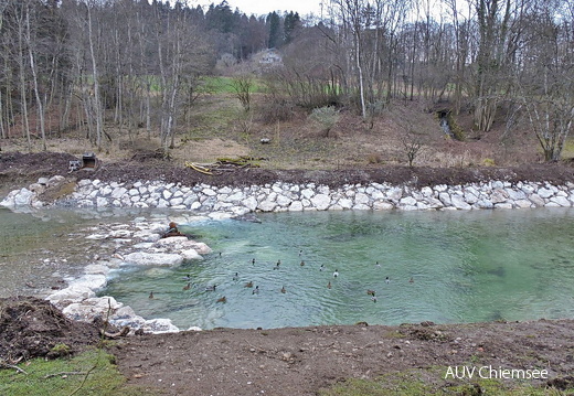 Fischtreppe an der Prien