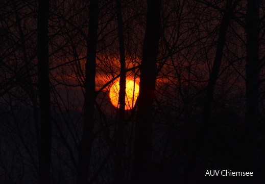 Sonnenaufgang in der Schafwaschener Bucht