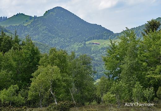 Blick zur Hefteralm