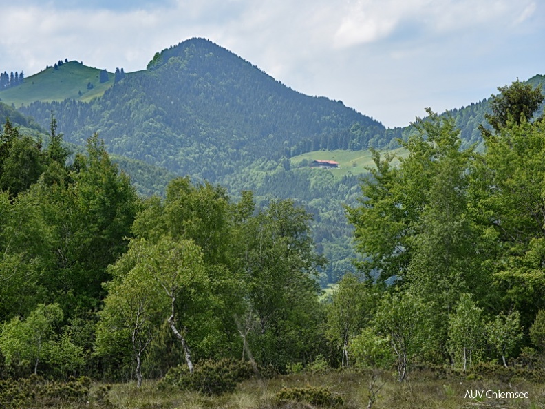 Blick zur Hefteralm