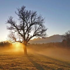 Sonnenaufgang