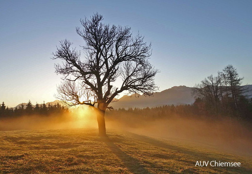 Sonnenaufgang