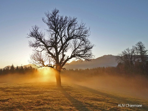 Sonnenaufgang