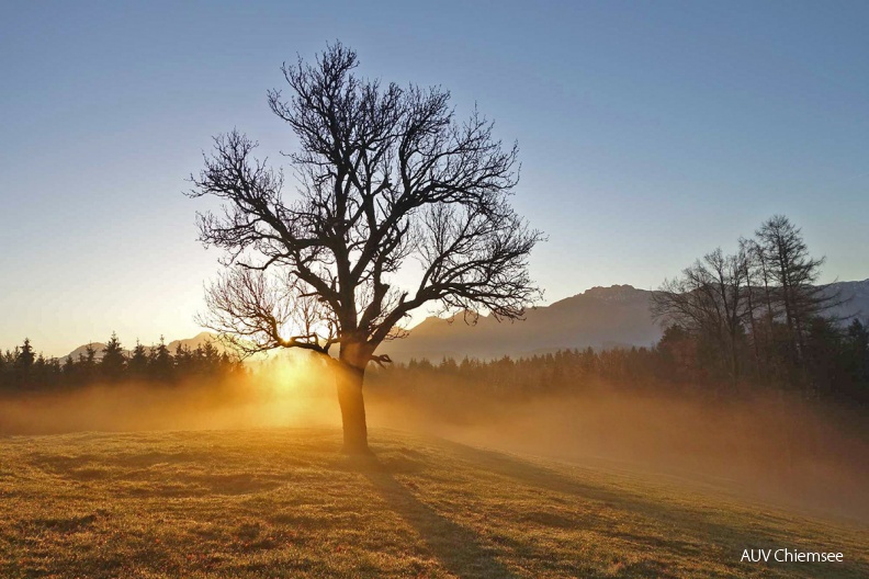 <br />
<a href="http://www.chiemseeagenda.de/thema/72/artikel/morgenstimmungen-auf-dem-lieblberg-am-vierten-advent-sonntag
" target="_blank"><u>mit einem <i><b>Mausklick!</b> zur</i> <br />
<font color="#3eaf3e" size="+1">Fotogeschichte</font></u><br /></a>
<br />Auf dem Lieblberg zwischen Atzing und Wildenwart / 20. Dezember 2015<br />
Foto: Anton Hötzelsperger AktNatBeo-151220-ha-am_Lieblberg-k3-DSC03193-1200pix.jpg