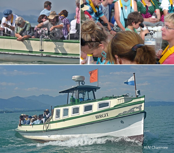 Die Foto-Collage wurde dem Heft "Naturerlebnis Chiemsee" aus der Broschürenreihe der Chiemseeagenda entnommen.<br />
In dieser Broschüre ist ein Kapitel "Naturführungen am Chiemsee" enthalten, in dem die einzelnen Angebote kurz beschrieben werden.<br />
<a href="http://www.chiemseeagenda.de/thema/199
" target="_blank"><u>mit einem <i><b>Mausklick!</b> zum Heft</i></u><br /></a>
<br /> dnads-Tour_1-JZI_1159_2_CNF_Fotos-1500pix.jpg