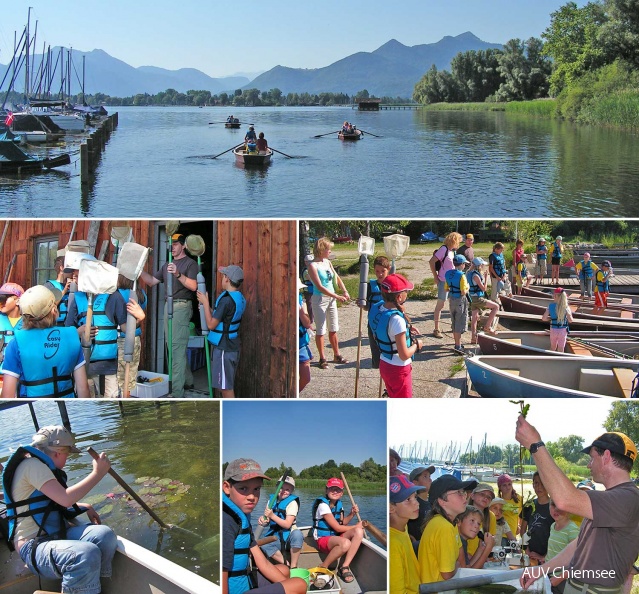 Die Foto-Collage wurde dem Heft "Naturerlebnis Chiemsee" aus der Broschürenreihe der Chiemseeagenda entnommen.<br />
In dieser Broschüre ist ein Kapitel "Naturführungen am Chiemsee" enthalten, in dem die einzelnen Angebote kurz beschrieben werden.<br />
<a href="http://www.chiemseeagenda.de/thema/199
" target="_blank"><u>mit einem <i><b>Mausklick!</b> zum Heft</i></u><br /></a>
<br /> dnads-Tour_3-GsWi_Fotos-1500pix.jpg