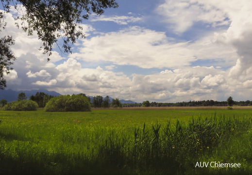 Wolkenformationen im Grabenstätter Moos
