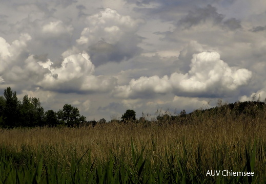 Wolkenformationen im Grabenstätter Moos