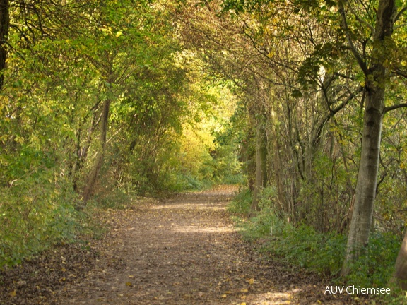 herbstlicher Wanderweg