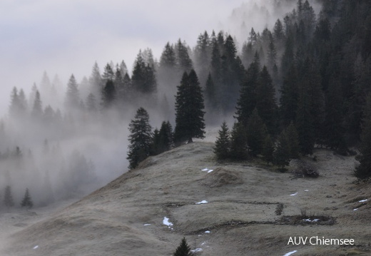 Kälte im Tal