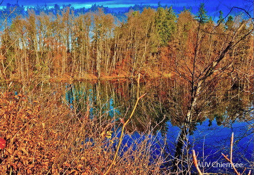 Herbstfarben