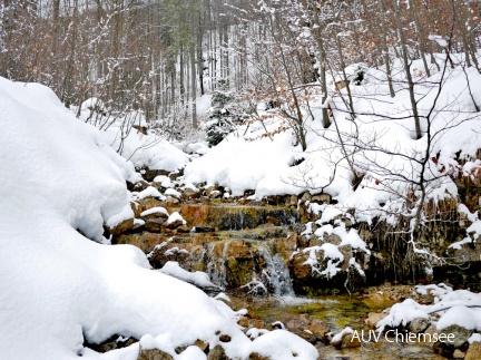 winterlicher Gebirgsbach