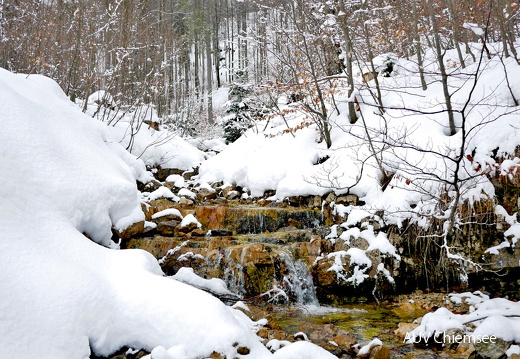 winterlicher Gebirgsbach
