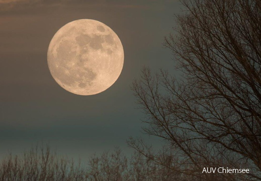 Supermond