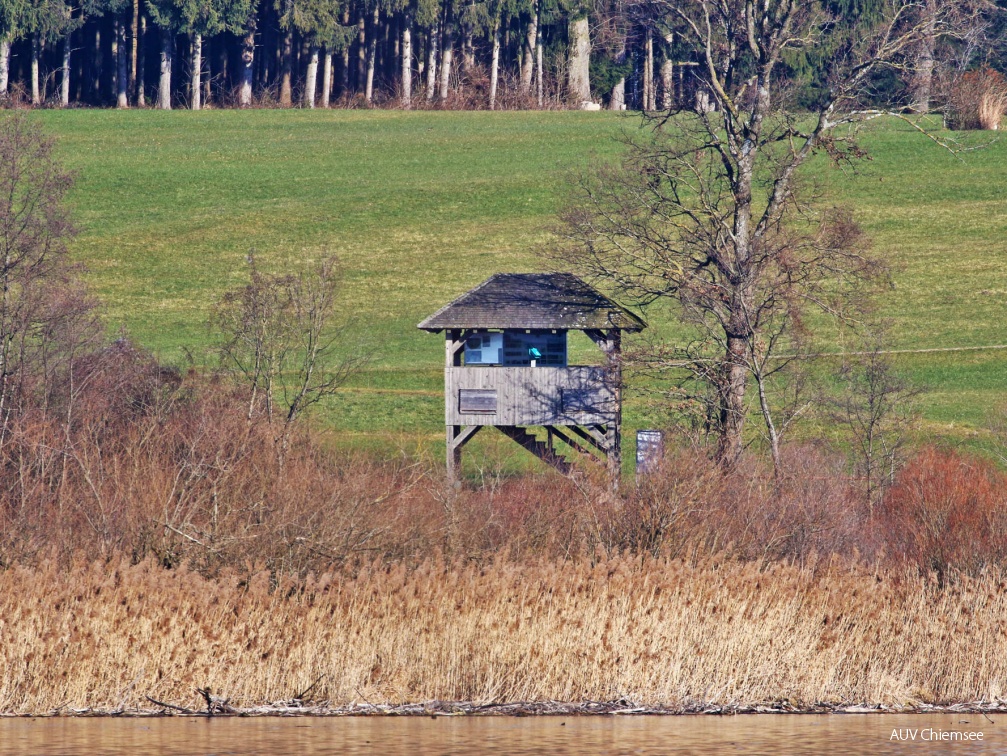 Aussichtsturm Hagenau