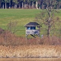 Aussichtsturm Hagenau