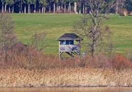 Aussichtsturm Hagenau