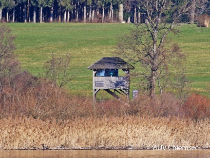 Aussichtsturm Hagenau