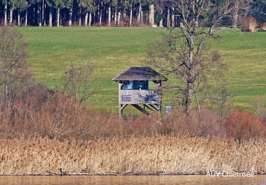 Aussichtsturm Hagenau