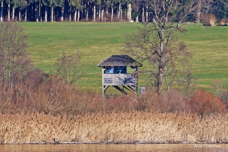 NatBeo-HA-Turm_Hagenau-2018_01-HW_876A3227-2000pix.jpg