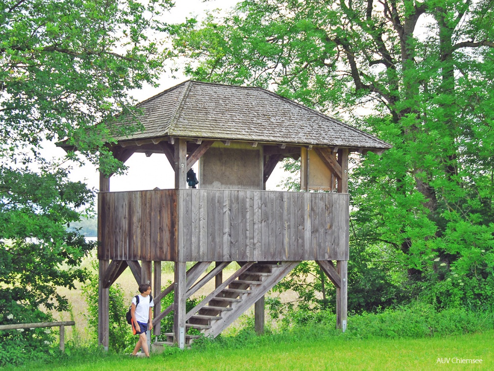 Aussichtsturm Hagenau