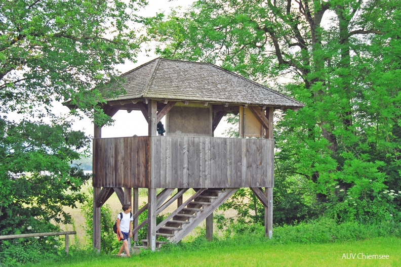 NatBeo-HA-Turm_Hagenau-2009_06-mf-MSC_3127-1500pix.jpg