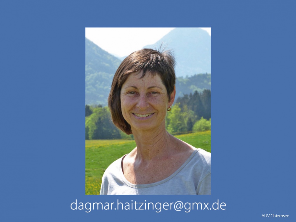 Dagmar Haitzinger  -DH-