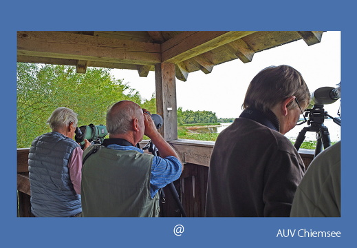 Fotografen◊Texter◊Vereine