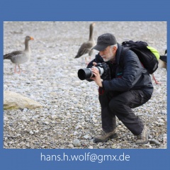 Hans Wolf  -HW-