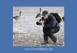 Hans Wolf  -HW-