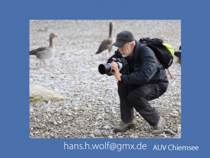 Hans Wolf  -HW-