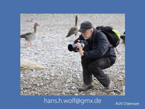 Hans Wolf  -HW-