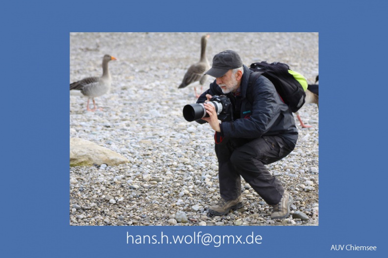 Hans Wolf
81829 München, Tel. 0152 29572330
Tierfotografie
Erwerb von Fotos nur nach Rücksprache
aktualisiert: 17.05.2018 / Hans Wolf FotAlb-Vita-HW-Hans_Wolf-2018_05_17-1140x760pix.jpg