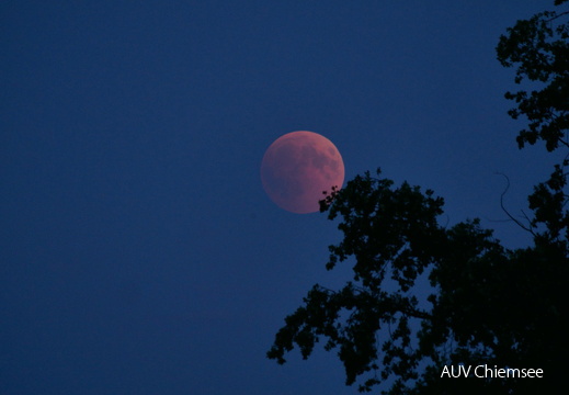 Blutmond 