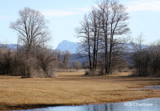 Landschaft Hirschauer Bucht