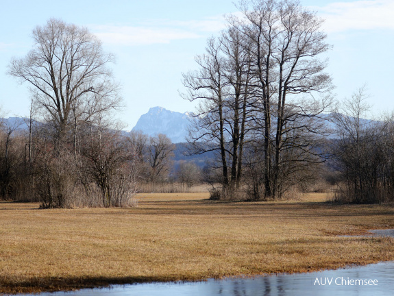 Landschaft Hirschauer Bucht