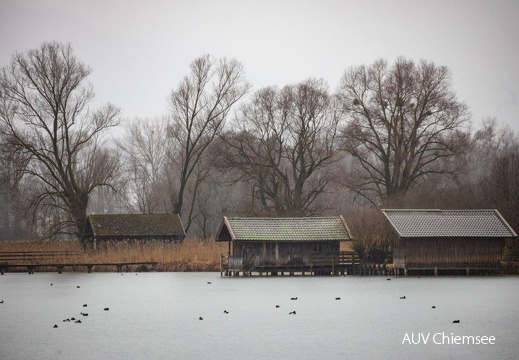 Schafwaschener Bucht