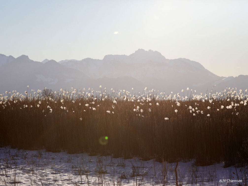 Chiemgauer Alpenlandschaft