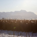 Chiemgauer Alpenlandschaft