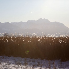 Chiemgauer Alpenlandschaft