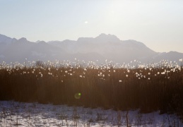 Chiemgauer Alpenlandschaft