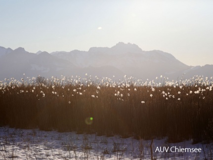 Chiemgauer Alpenlandschaft