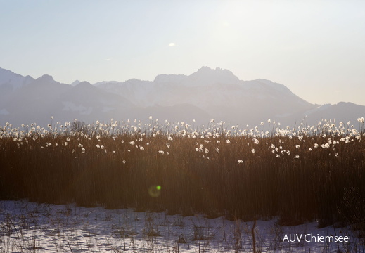 Chiemgauer Alpenlandschaft