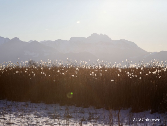 Chiemgauer Alpenlandschaft