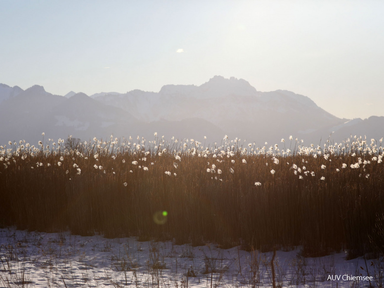 Chiemgauer Alpenlandschaft