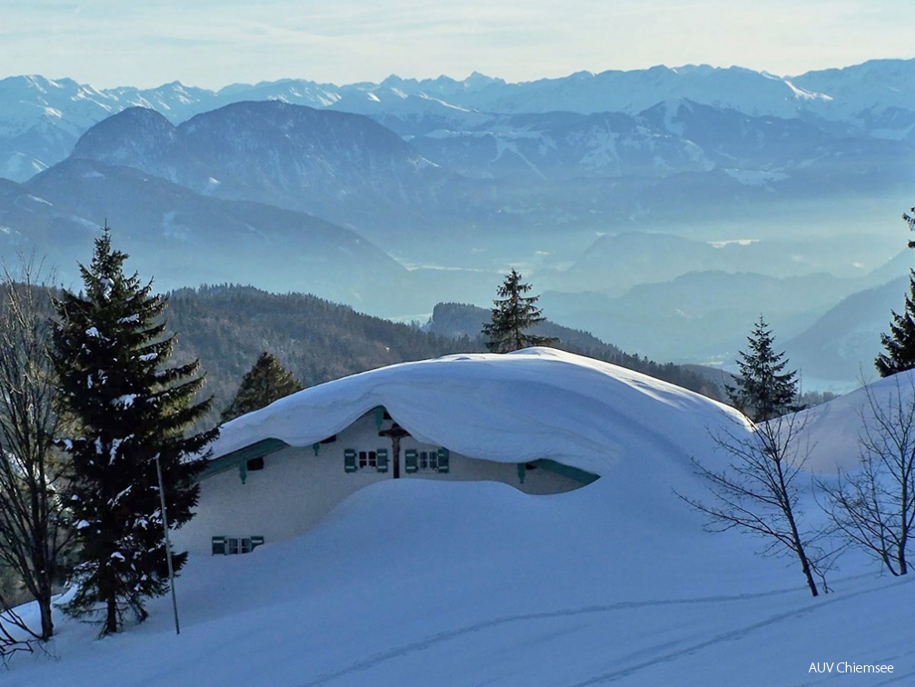 Wirtsalm