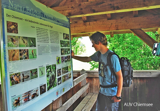 Vogeltafel Chiemsee ` - display this album Vogeltafel Chiemsee `