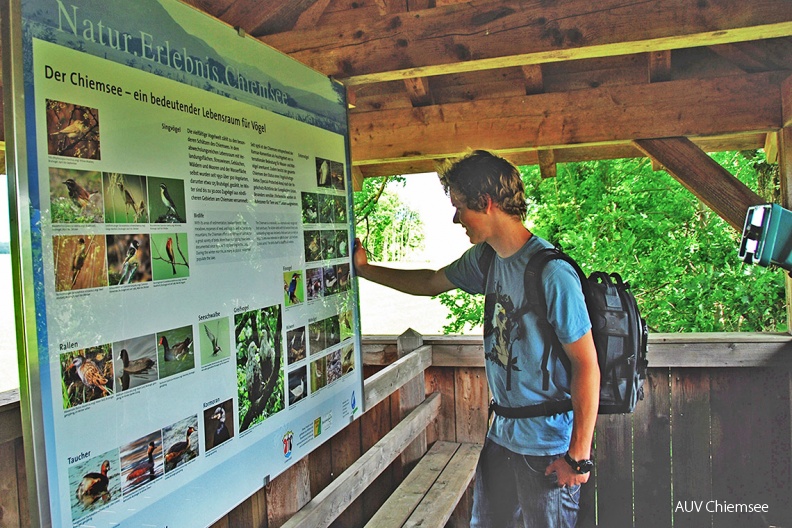 Vogeltafel "Der Chiemsee – ein bedeutender Lebensraum für Vögel"
Die vielfältige Vogelwelt zählt zu den besonderen Schätzen des Chiemsees. In dem abwechslungsreichen Lebensraum mit Verlandungsflächen, Streuwiesen, Gebüschen, Wäldern und Mooren und der Wasserfläche selbst wurden seit 1950 über 300 Vogelarten, darunter etwa 125 Brutvögel, gezählt. Im Winter sind bis zu 30.000 Zugvögel aus nördlicheren Gebieten am Chiemsee versammelt.
Seit 1976 ist der Chiemsee entsprechend der Ramsar-Konvention als Feuchtgebiet von internationaler Bedeutung für Wasser- und Watvögel anerkannt. Zudem besitzt der gesamte Chiemsee den Status eines Vogelschutzgebietes (Special-Protected-Area) nach der Vogelschutz-Richtlinie der Europäischen Union. Besonders sensible Uferbereiche wurden als Ruhezonen für Tiere und Pflanzen ausgewiesen.
Sie finden die Vogeltafel an den meisten Beobachtungsstationen.
Aussichtsturm Hagenau / 3. Juni 2009 / Foto: Maximilian Fischer
VoTa_Tafel-Vogeltafel_Hagenau-mf-MSC_3140-1140pix.jpg