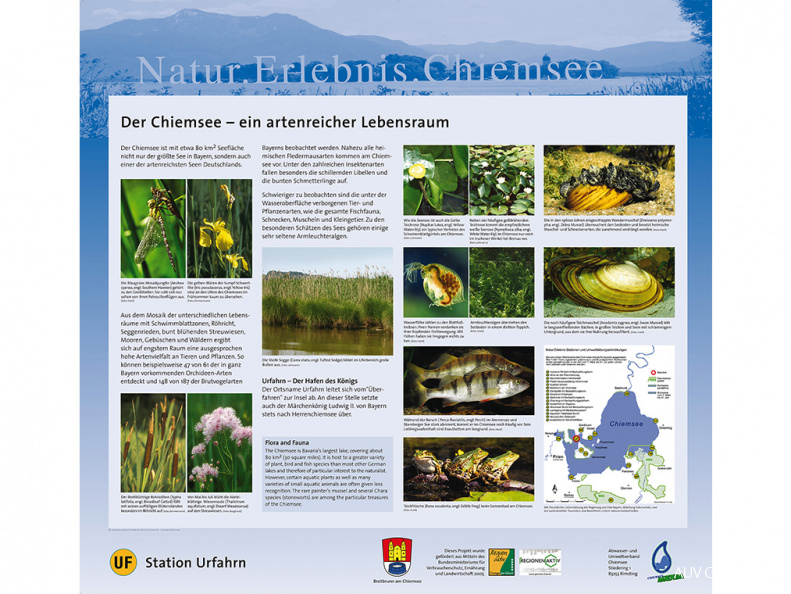 Tafel 1 : Der Chiemsee - ein artenreicher Lebensraum